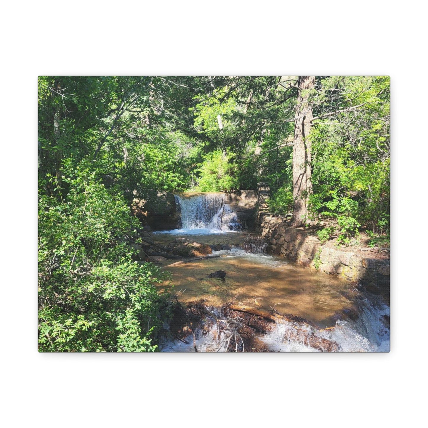 Woodland Waterfall Canvas Gallery Wraps